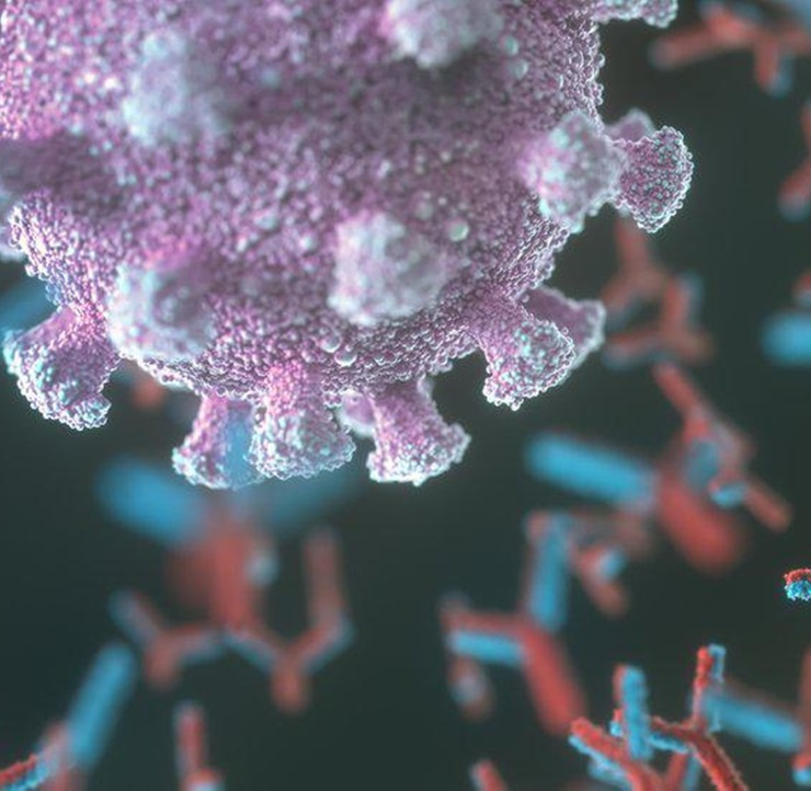 Dr Omar Rasheed Chughtai - Seroconversion in Newly Diagnosed Cases of Coronavirus Disease